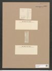 Diatomeae indet. Zeichnungen Sammlung Grunow Nr. 3331 (NHMW-BOT-W0370835)